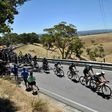 Richie Porte leads the peloton in the iconic Willunga Hill stage of the Tour Down Under.