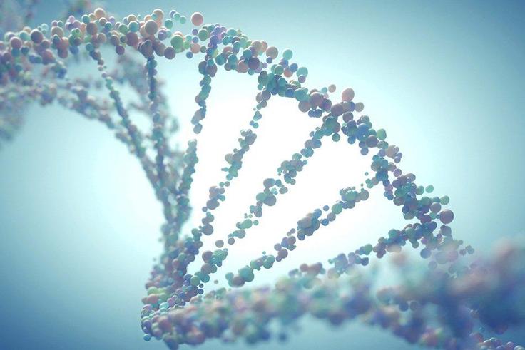 DNA strands.