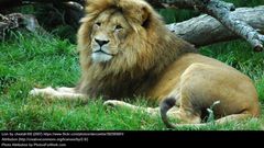 ___5264708___https:______static.pulse.com.gh___webservice___escenic___binary___5264708___2016___7___14___17___392585681