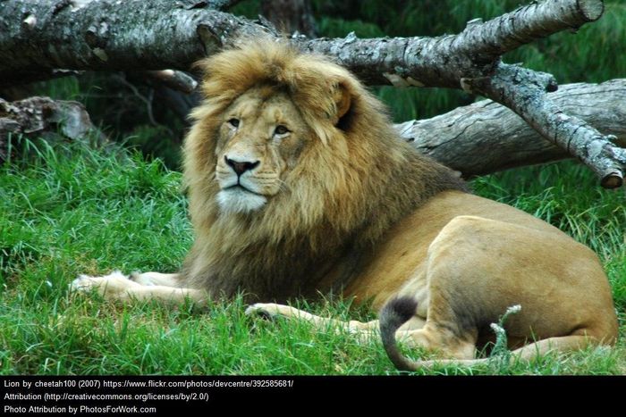 ___5264708___https:______static.pulse.com.gh___webservice___escenic___binary___5264708___2016___7___14___17___392585681