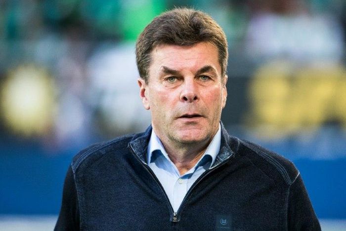 Wolfsburg head coach Dieter Hecking was sacked after three and a half years in charge