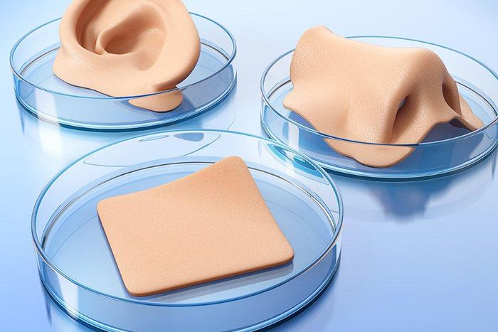 This 3D printer can print out completely functional human skin