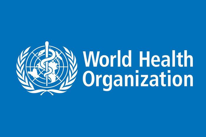 World Health Organisation (WHO)