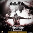 Shatta Wale - Stamina (Prod. by Shatta Wale)