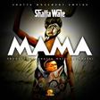 ___5026769___https:______static.pulse.com.gh___webservice___escenic___binary___5026769___2016___5___12___22___Shatta+Wale+-+Mama