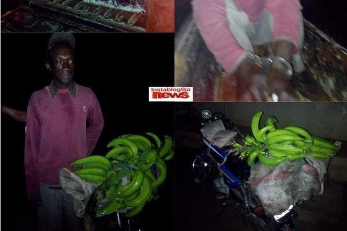 Victor Okon arrested for stealing bunch of plantain