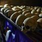 The 1994 genocide in Rwanda killed thousands, whose preserved skulls reside at the Genocide memorial in Nyamata, as 10 out of 61 convicts have been granted early release including historian Ferdinand Nahimana and priest Emmanuel Rukundo