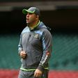 Australia coach Michael Cheika oversees training in Cardiff on November 4, 2016