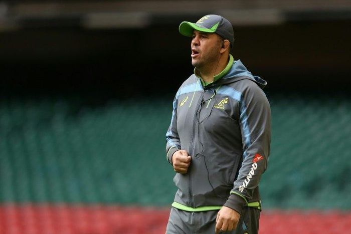 Australia coach Michael Cheika oversees training in Cardiff on November 4, 2016