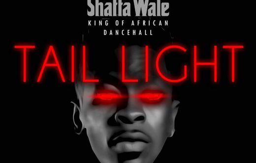 Shatta Wale - Tail Light (Prod. by Shatta Wale)