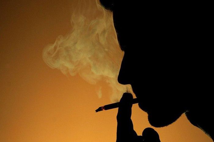 Risk factors such as smoking, harmful use of alcohol, a poor diet which does not include the recommended five servings of fruit and vegetables a day, and low levels of physical activity are more likely to kill adults in Africa