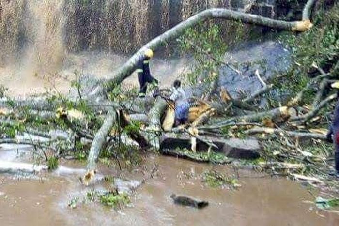 ___6397428___https:______static.pulse.com.gh___webservice___escenic___binary___6397428___2017___3___20___12___unnamed