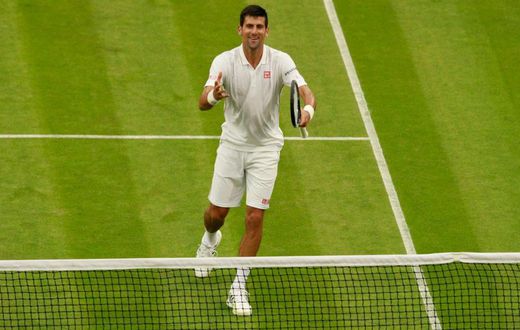 ___5210178___https:______static.pulse.com.gh___webservice___escenic___binary___5210178___2016___6___30___7___novakdjokovic-cropped_op6b0rgnskgx1m655s7i1u68p_2