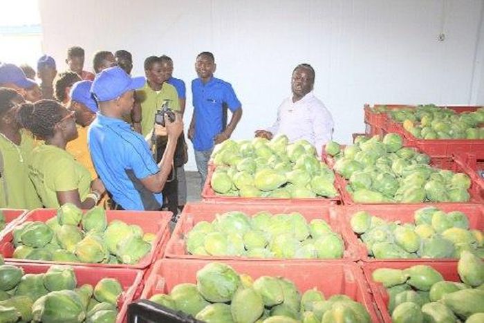 ___6460005___https:______static.pulse.com.gh___webservice___escenic___binary___6460005___2017___3___31___20___55939799