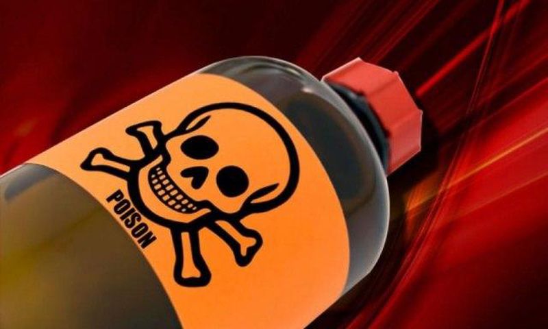 ___6564160___https:______static.pulse.com.gh___webservice___escenic___binary___6564160___2017___4___21___19___poison