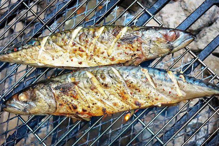 Grilled mackerel