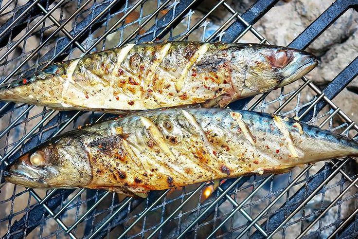 Grilled mackerel