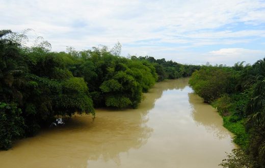 ___6672284___https:______static.pulse.com.gh___webservice___escenic___binary___6672284___2017___5___13___19___river