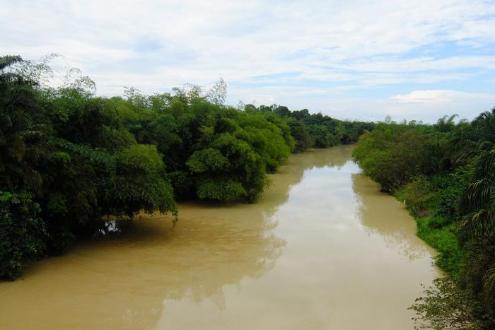 ___6672284___https:______static.pulse.com.gh___webservice___escenic___binary___6672284___2017___5___13___19___river