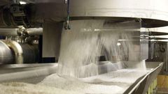 Jigawa farmers say establishment of sugar factories will enhance development