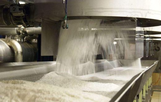 Jigawa farmers say establishment of sugar factories will enhance development
