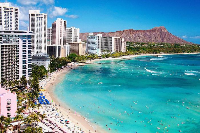 Rare brain disease spikes in Hawaii.