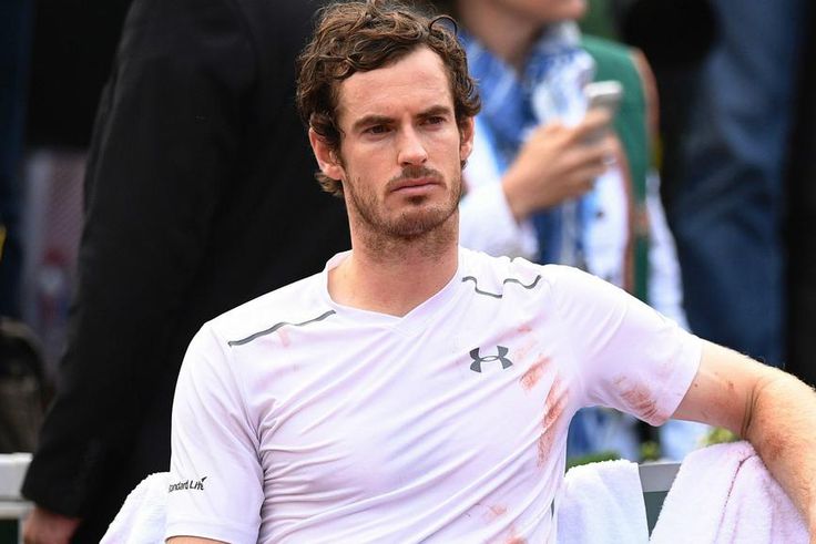 ___5116041___https:______static.pulse.com.gh___webservice___escenic___binary___5116041___2016___6___6___9___andymurray-cropped_vjx910zedqrc1hbhq4vpzvjwd_2