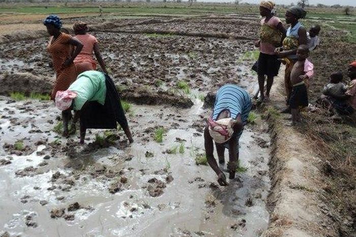 General Secretary of GAWU , Kingsley Ofei-Nkansah to Citi FM that workers will be ‘extremely depressed’ with the tax, adding that it could rural-urban migration.