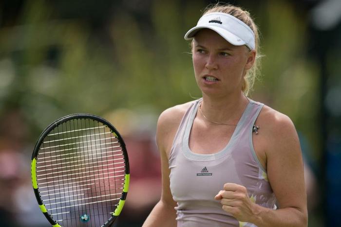 ___5213615___https:______static.pulse.com.gh___webservice___escenic___binary___5213615___2016___6___30___22___wozniacki-cropped_1ciqfl9m45f181skt4k0ga1wvg_2