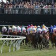 Part of the 100,000 strong crowd watch on as the field of horses thunder past during the early stages of the Melbourne Cup, at Flemington Racecourse, in November 2015