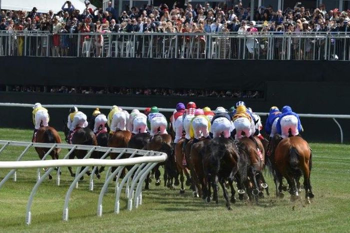 Part of the 100,000 strong crowd watch on as the field of horses thunder past during the early stages of the Melbourne Cup, at Flemington Racecourse, in November 2015