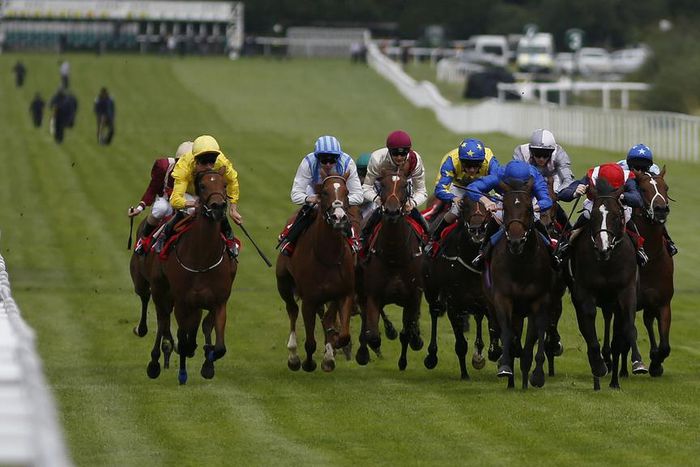 ___5476168___https:______static.pulse.com.gh___webservice___escenic___binary___5476168___2016___9___10___10___sandown-park-cropped_azjwblomlq961wd3qig693lv5