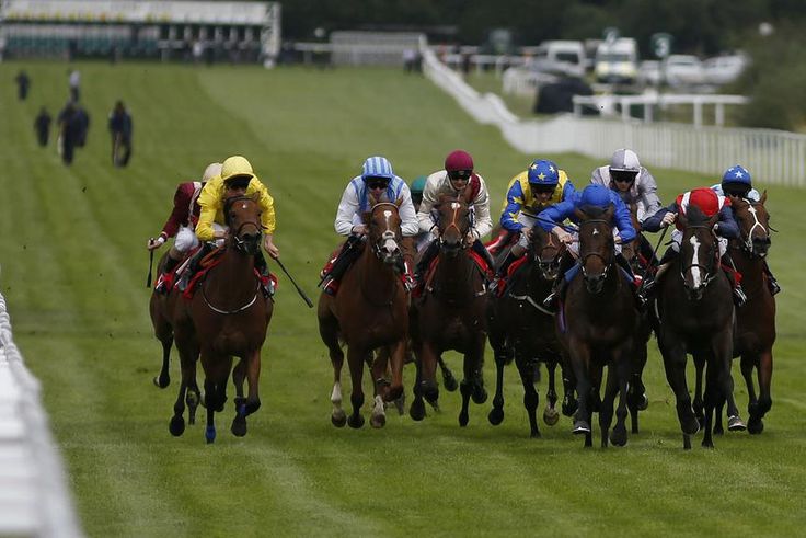 ___5476168___https:______static.pulse.com.gh___webservice___escenic___binary___5476168___2016___9___10___10___sandown-park-cropped_azjwblomlq961wd3qig693lv5