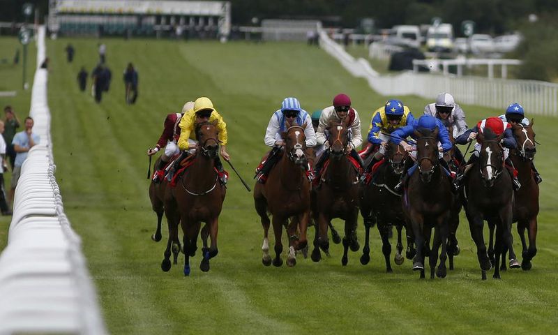 ___5476168___https:______static.pulse.com.gh___webservice___escenic___binary___5476168___2016___9___10___10___sandown-park-cropped_azjwblomlq961wd3qig693lv5