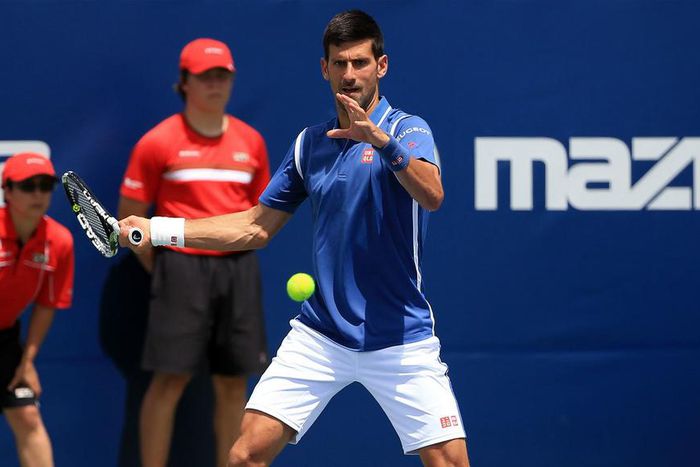 ___5314903___https:______static.pulse.com.gh___webservice___escenic___binary___5314903___2016___7___28___5___novakdjokoviccropped_izig4kaktiyp1axd19qr5rbq4_2