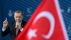 Turkey arrests 815 this year in Islamic State crackdown- minister