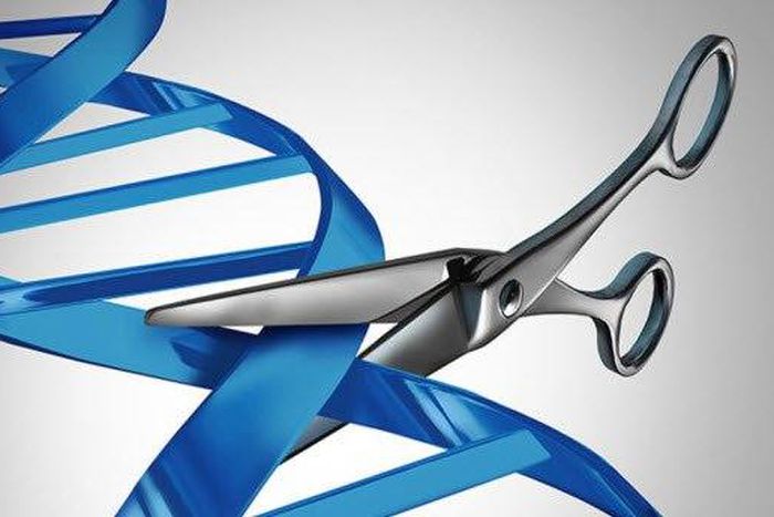 ___5971853___https:______static.pulse.com.gh___webservice___escenic___binary___5971853___2016___12___30___12___20161227_genes