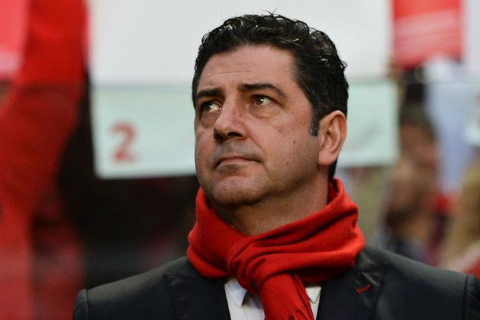 ___4916686___https:______static.pulse.com.gh___webservice___escenic___binary___4916686___2016___9___14___11___ruivitoria-cropped_q1l9wfhx56c71mue9vdmgd3zz