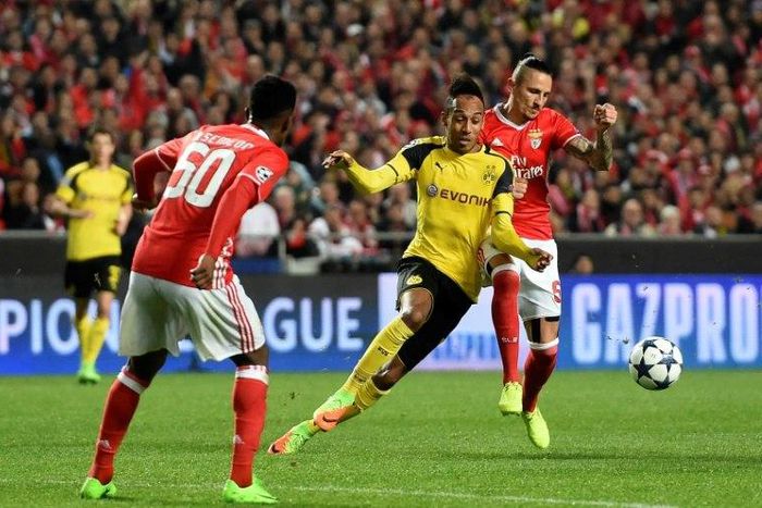 Benfica's midfielder Ljubomir Fejsa (R) vies with Dortmund's striker Pierre-Emerick Aubameyang during the UEFA Champions League round of 16 first leg football match February 14, 2017