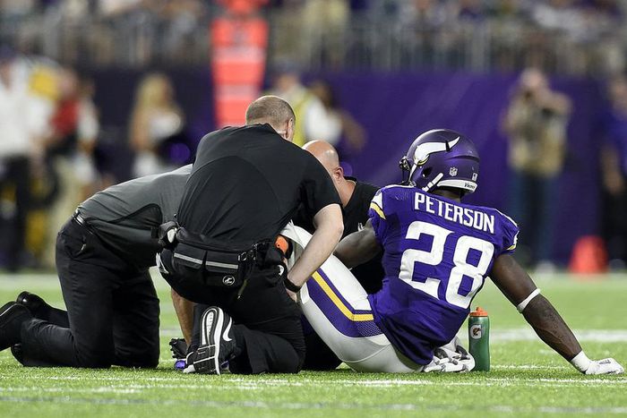 ___5509141___https:______static.pulse.com.gh___webservice___escenic___binary___5509141___2016___9___22___22___adrian-peterson_1bvxb3futo3qy1i5sq2jq4b88l