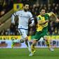 Wes Hoolahan (centre) scored the opener for Norwich as the Canaries beat Rotherham to go top of the Championship