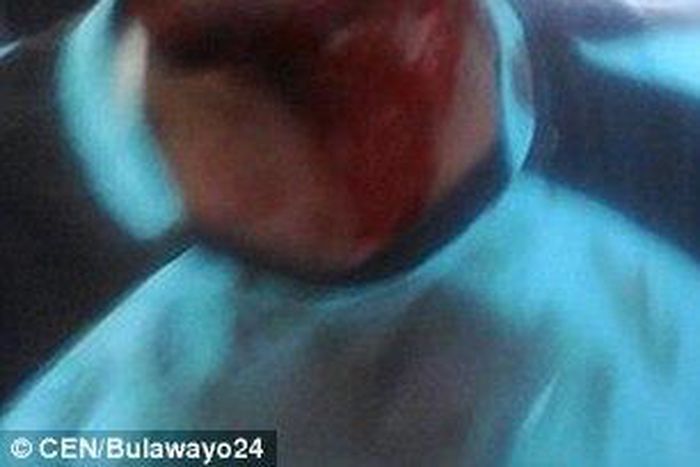 Mushonga came around bleeding heavily from his head