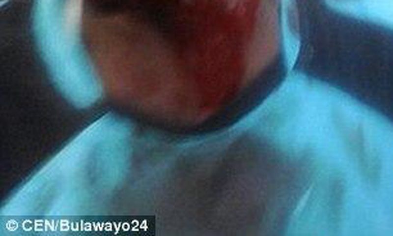 Mushonga came around bleeding heavily from his head