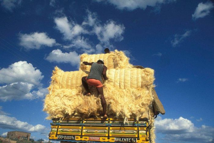 ___5650773___https:______static.pulse.com.gh___webservice___escenic___binary___5650773___2016___10___24___13___tumblr_inline_oeo2nmV0Vy1sgr685_1280