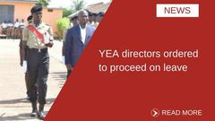 ___6484115___https:______static.pulse.com.gh___webservice___escenic___binary___6484115___2017___4___5___17___YEA+ART