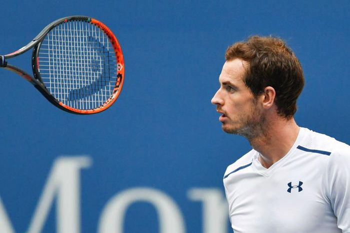 ___5453205___https:______static.pulse.com.gh___webservice___escenic___binary___5453205___2016___9___4___14___andymurray-cropped_3lidmjzsamfi1ienhikhcloci_2