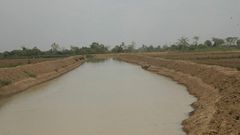 Aveyime rice project risk collapse over irrigation cost, managers warn