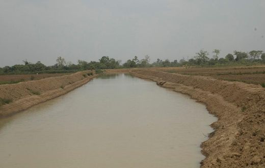 Aveyime rice project risk collapse over irrigation cost, managers warn