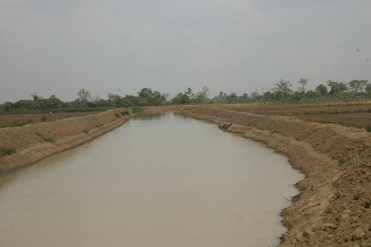 Aveyime rice project risk collapse over irrigation cost, managers warn