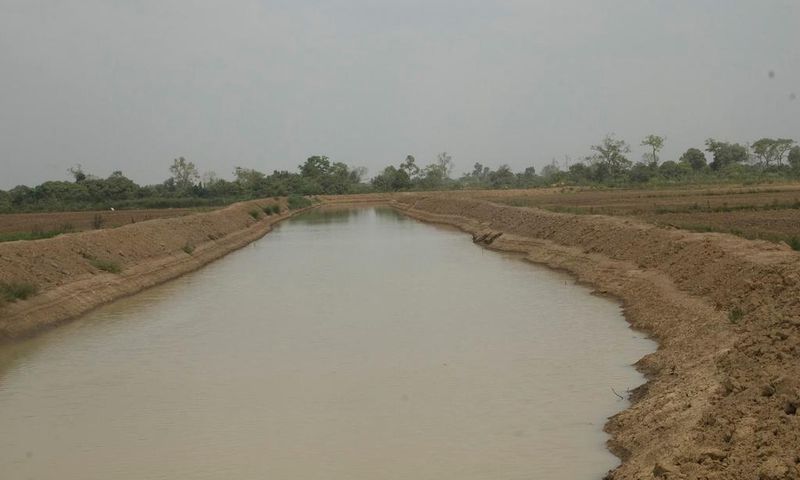 Aveyime rice project risk collapse over irrigation cost, managers warn